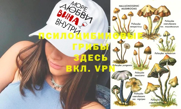 крисы Зерноград