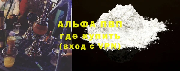 сатива Иннополис