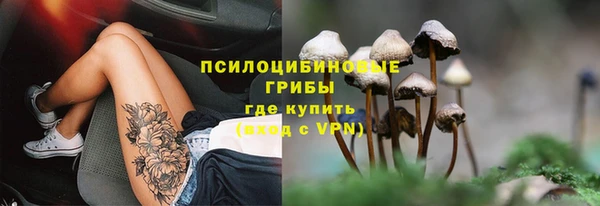 крисы Зерноград