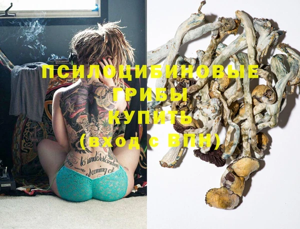сатива Иннополис