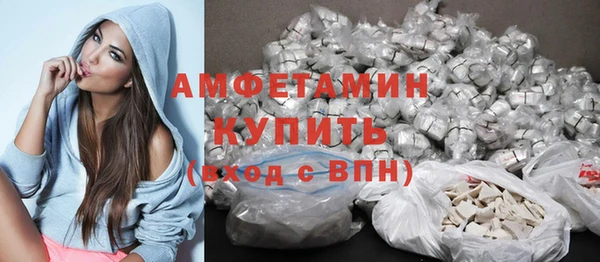 трава Инта