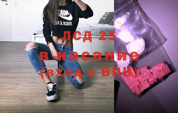 крисы Зерноград