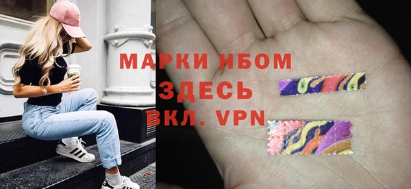 трава Инта