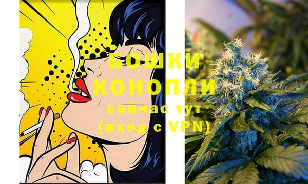 крисы Зерноград