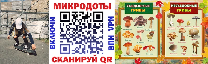 Купить  Новочебоксарск  Галлюциногенные грибы мицелий